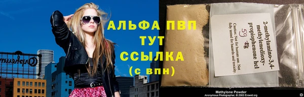 гидра Надым