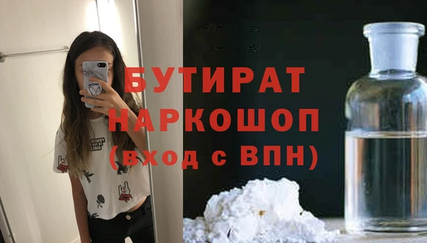 гидра Надым