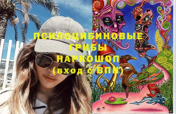 ПСИЛОЦИБИНОВЫЕ ГРИБЫ Елабуга