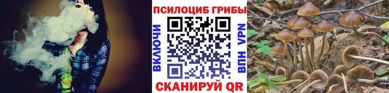 MEGA ссылка  купить  цена  Морозовск  Галлюциногенные грибы ЛСД 