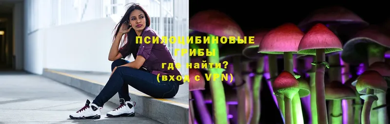 где продают   Морозовск  Галлюциногенные грибы Psilocybine cubensis 