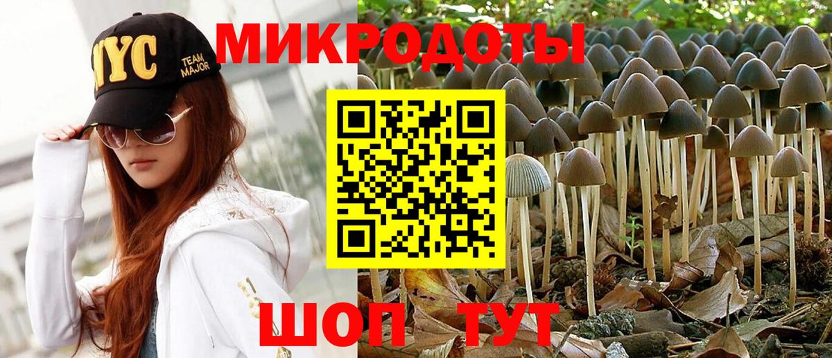 Галлюциногенные грибы прущие грибы  Псилоцибиновые грибы Psilocybe  Вход с VPN  Морозовск 