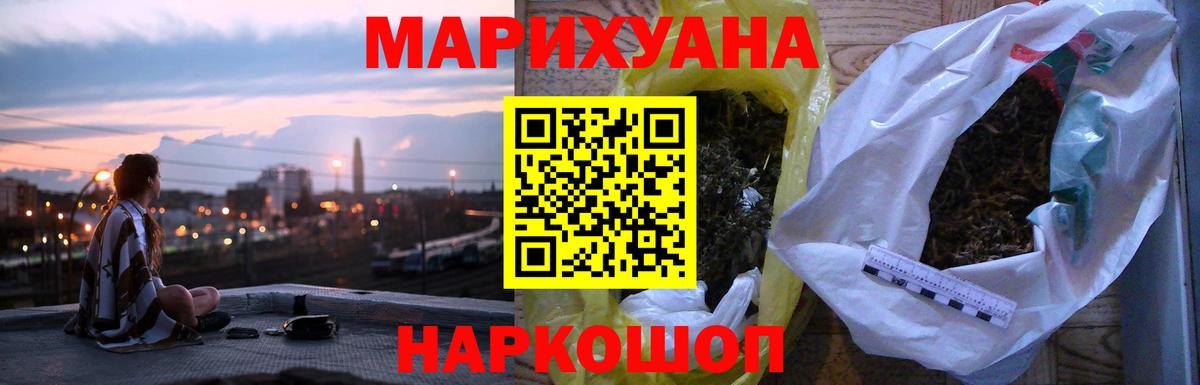 Канабис сатива Морозовск